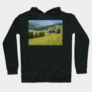 Summer in Colorado mountains Hoodie